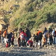 Две избегличке кризе, две стране медаље - за једне жичана ограда, за друге добродошлица