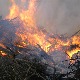 Апел грађанима да не пале траву и ниско растиње