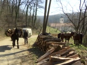 Са обореним стаблима тешко без коња - пун самар и до 500 килограма