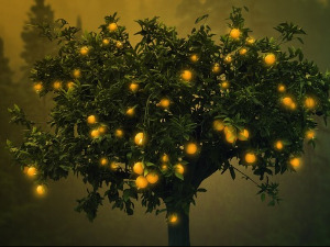  Добро јутро децо: Орловски посао 