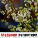 Гледаоци репортери (31. март 2022)