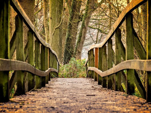  1001 Траг - Мост до мога завичаја - Недељко Билкић 