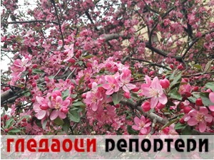 Гледаоци репортери (2. април 2022)