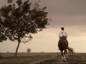  1001 Траг - Шанко си Бонка залиби - Изворинка Милошевић 