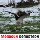 Гледаоци репортери (4. април 2022)