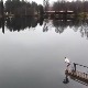 Припрема, позор...