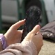 Ограничење времена које дете проводи на телефону није решење, како поступити