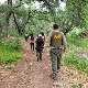 Тинејџер ометен у развоју нестао у шуми у Лос Анђелесу, дозвао спасиоце ударајући каменом о камен