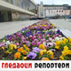 Гледаоци репортери (11. април 2022)