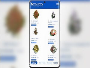 Апликација "Погребних услуга" омогућиће и паљење свећа, наручивање венаца
