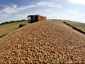 Осумњичен да је оштетио Дирекцију за робне резерве за више од 350 милиона динара