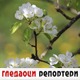 Гледаоци репортери (18. април 2022)
