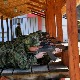 Позив за добровољно служење војног рока са оружјем 
