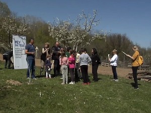 Цветне ливаде за очување Јастрепца и Ломнице