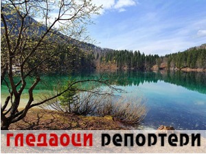 Гледаоци репортери (26. април 2022)