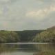 Којим дивљим  биљним и животињским врстама прети истребљење