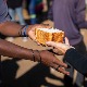 УСДА и УСАИД припремају скоро 700 милиона долара помоћи за Рог Африке