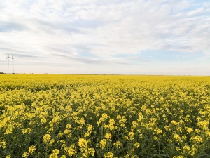 Смена сунца и облака, температура до 23 степена 