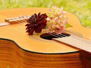 Свирај свирче - Гитара