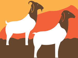  Добро јутро децо: С воза коза 