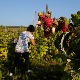 Сезонци у пољопривреди све траженији, електронска пријава корисна и за послодавце