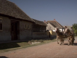  1001 Траг - Имала сам другарицу - Мирјана Бајрактаревић 