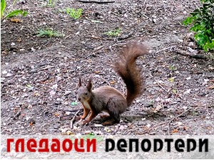Гледаоци репортери (4. мај 2022)
