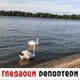 Гледаоци репортери (6. мај 2022)