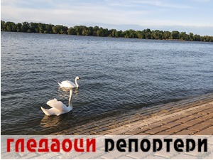 Гледаоци репортери (6. мај 2022)