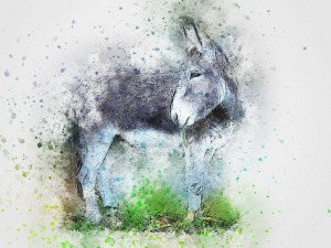  Добро јутро децо: Дијалог 