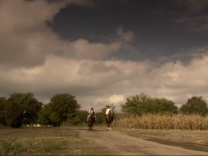  1001 Траг - Ја млад пијем ноћи - Недељко Билкић 