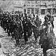 Историчар Ристић упозорава: Успели смо да обесмислимо и обезличимо стратишта и губилишта