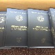 Радован Бели Марковић – "Кроз капије будућих времена"