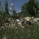 Може ли еколошка полиција да реши нагомилане еколошке проблеме