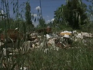 Може ли еколошка полиција да реши нагомилане еколошке проблеме