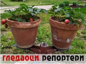 Гледаоци репортери (15. мај 2022)