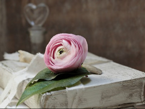 Претпоноћни тренуци - Поема Пола Клодела - Иван Јагодић