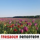 Гледаоци репортери (17. мај 2022)