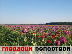Гледаоци репортери (17. мај 2022)