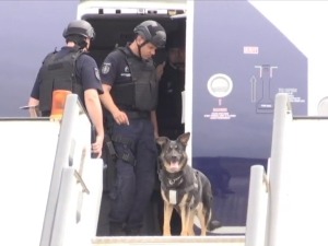 Зашто су стигле лажне дојаве о бомбама и ко стоји иза њих