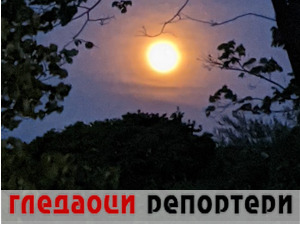 Гледаоци репортери (18. мај 2022)