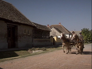  1001 Траг - Синоћке те видо леле Зоне - Јован Милошевић 