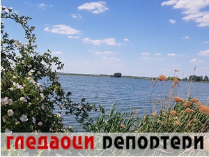 Гледаоци репортери (24. мај 2022)