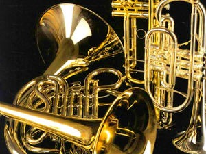 Ансамбли лимених дувача