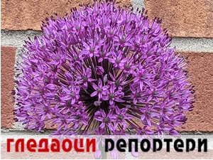 Гледаоци репортери (25. мај 2022)