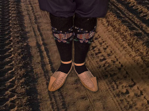  1001 Траг - Која гора Иво - Раша Павловић 