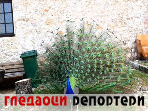 Гледаоци репортери (30. мај 2022)