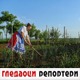 Гледаоци репортери (31. мај 2022)