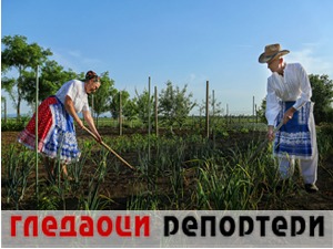 Гледаоци репортери (31. мај 2022)