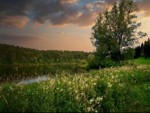 Ред сунца, ред облака – температура до 32 степена